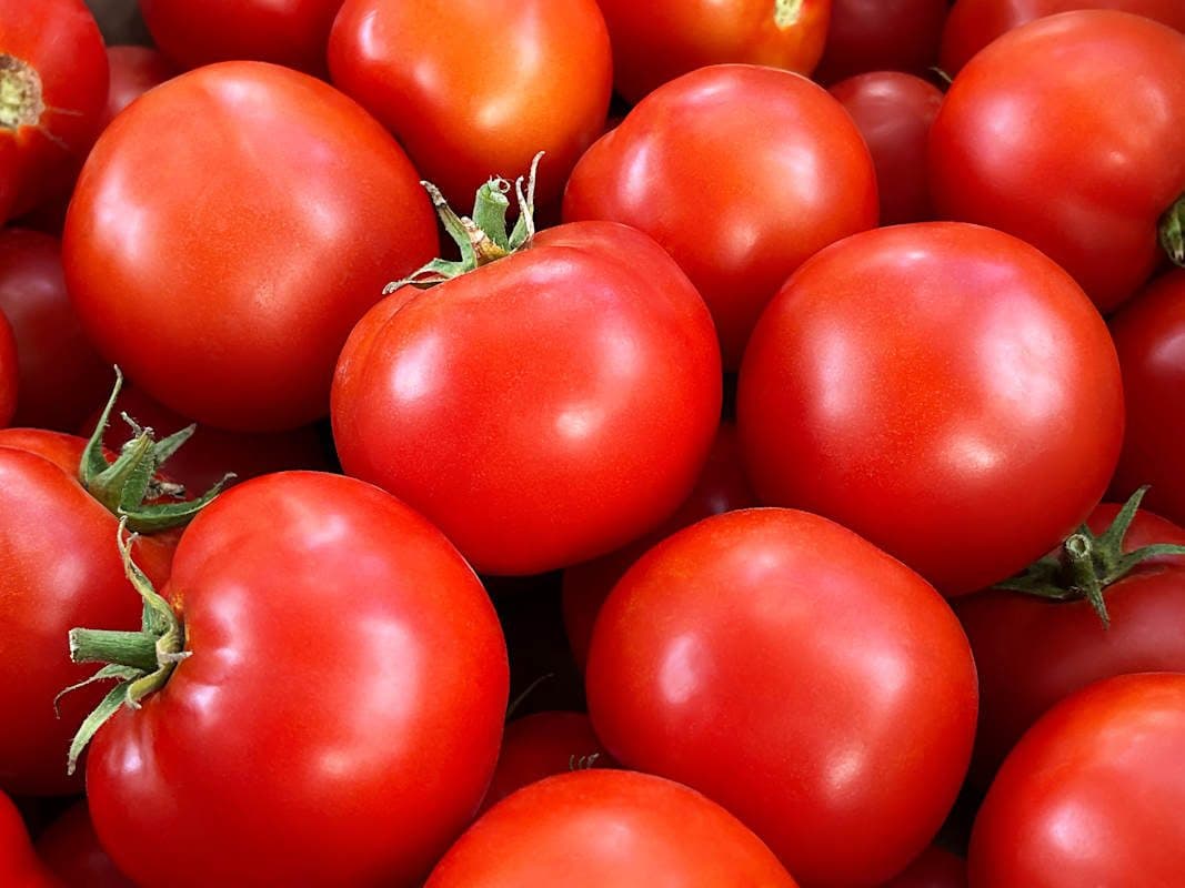 BEY's Chef Marc Mansour on How to Pick the Perfect Tomato
